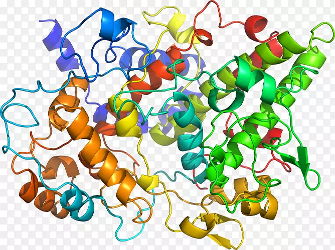 血红蛋白c HBB血红蛋白α1蛋白前列腺素D2