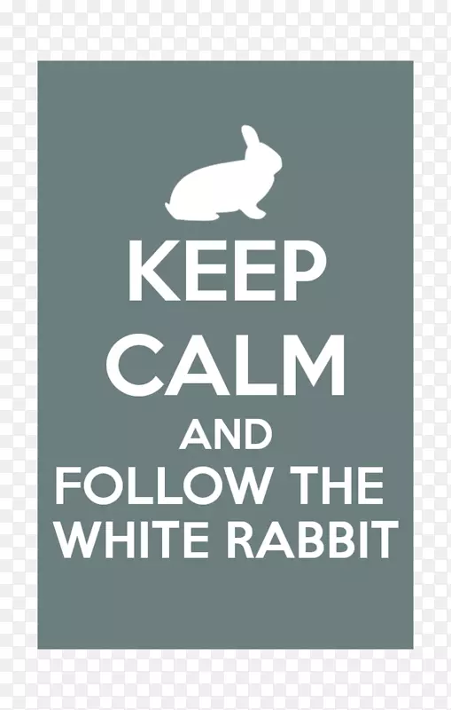 保持冷静，并进行t恤信息海报-大象和白兔。