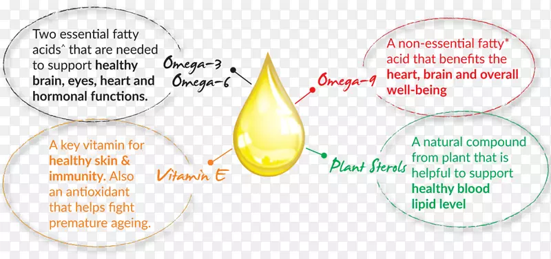 山茶花必需脂肪酸营养油omega-3脂肪酸必需脂肪酸