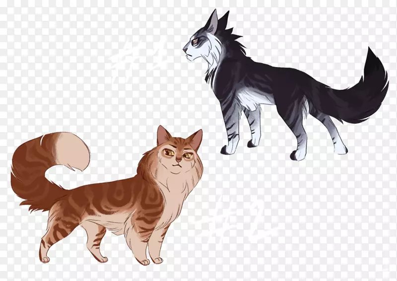 猫须猫狗战士-小猫