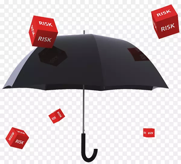 雨伞保险家庭责任保险单雨伞保险