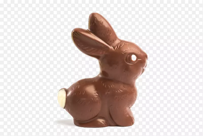 国内兔子复活节兔子摄影兔-兔子