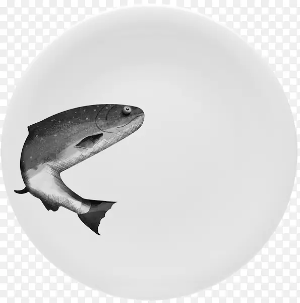 鲨鱼动物餐具-鲨鱼