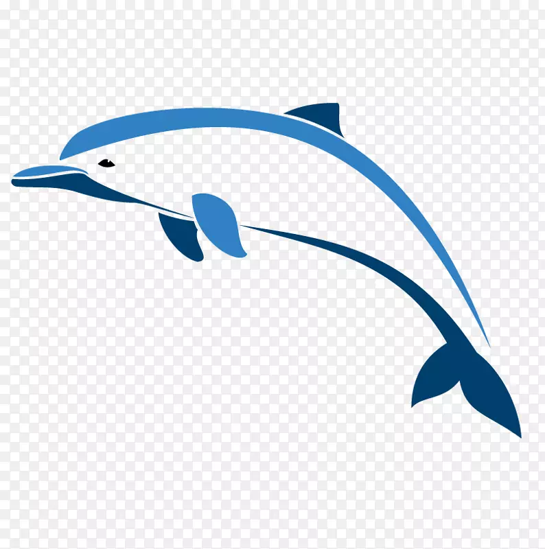 海洋海豚-海豚