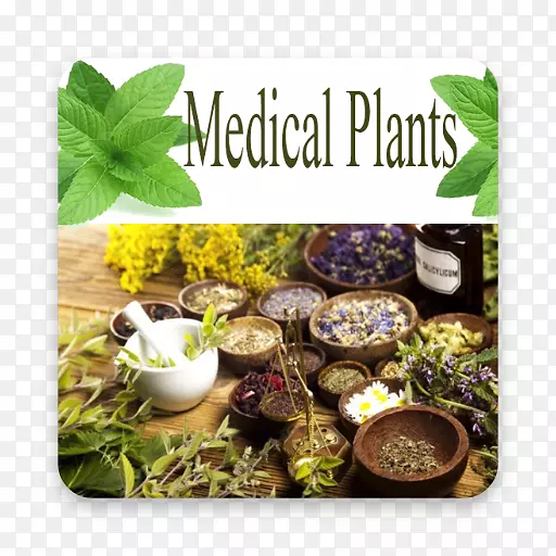 药用植物替代保健服务中草药-健康