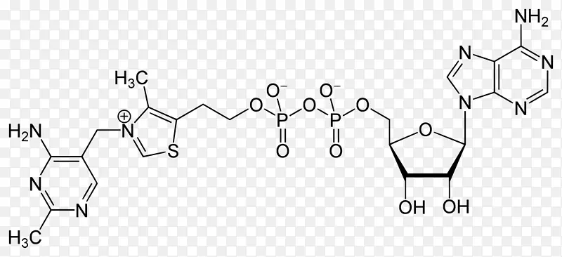 二核苷酸腺苷三磷酸腺苷环化酶