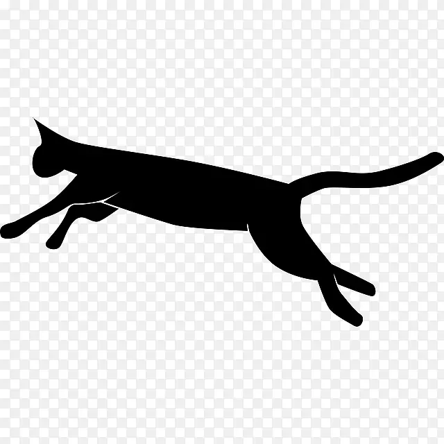 暹罗猫，宠物，欧洲速记猫，狗猫