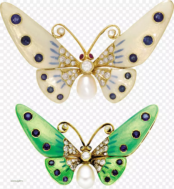 胸针蝴蝶和飞蛾夹艺术.帕皮利奥