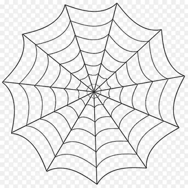 蜘蛛网画线艺术-蜘蛛