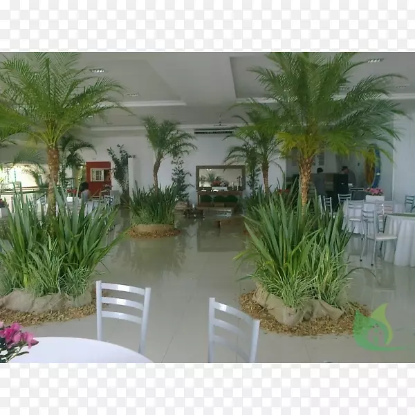 槟榔科植物花园中心花盆植物-花园中心