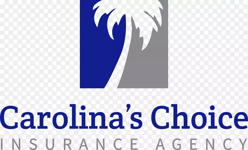 车辆保险公司卡罗莱纳州的选择保险代理有限责任公司Fen边缘卡罗莱纳选择保险集团公司-马萨诸塞州共同人寿保险公司
