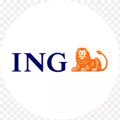 ING集团零售银行业务金融-银行