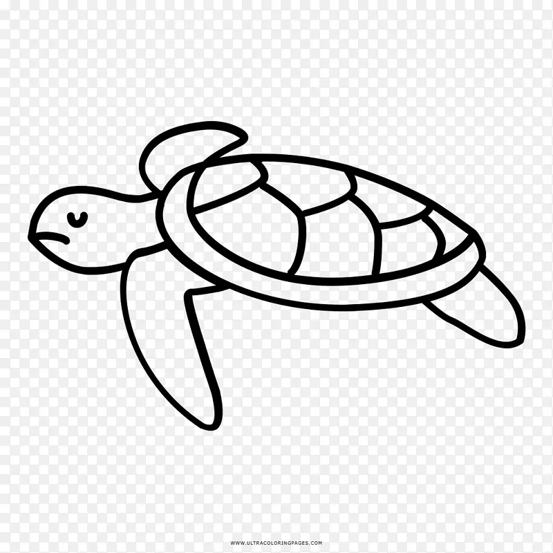龟画龟科动物剪贴画-海龟