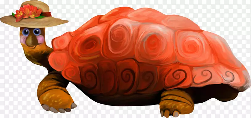 龟塘龟