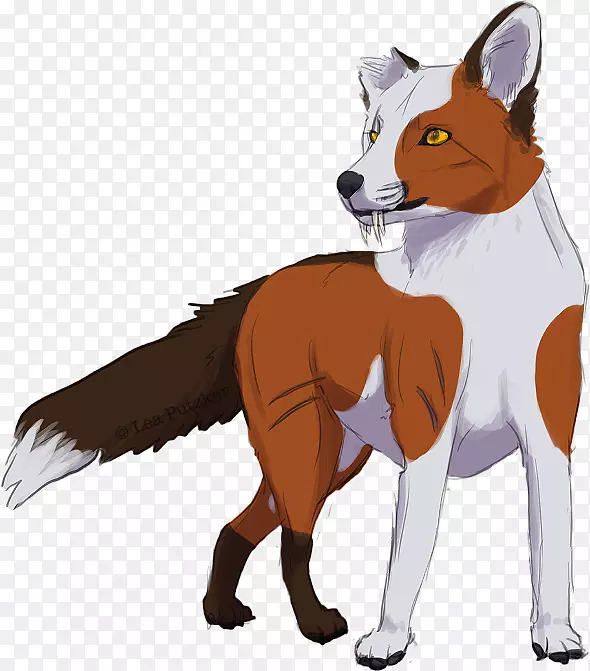 红狐犬繁殖毛皮鼻犬