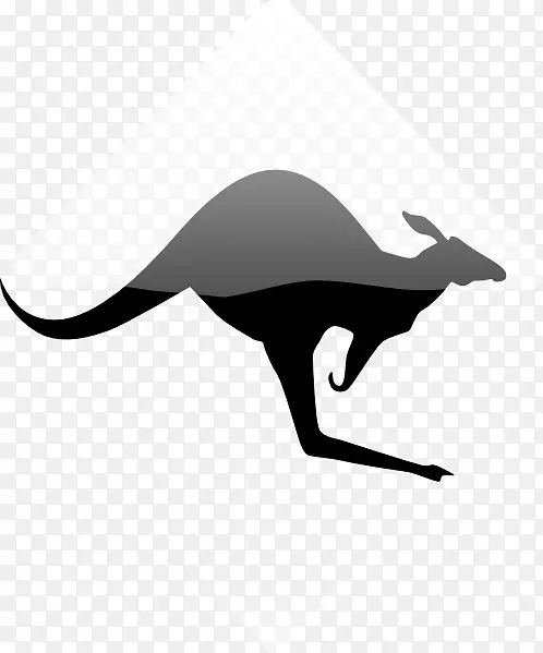 考拉红袋鼠澳大利亚剪贴画-考拉