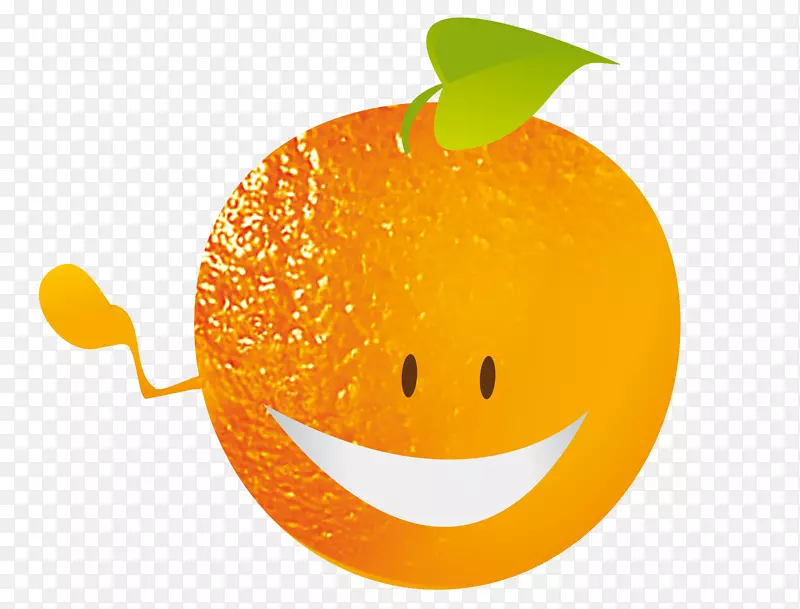 普通话橙色桌面壁纸减肥食品笑脸-笑脸