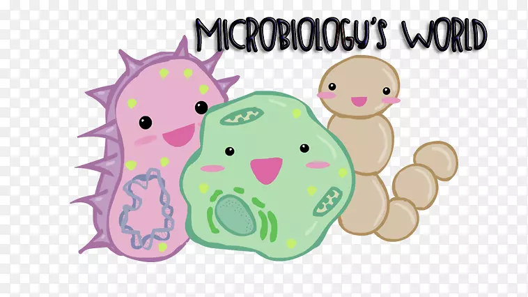 细菌(微生物学)卡瓦伊