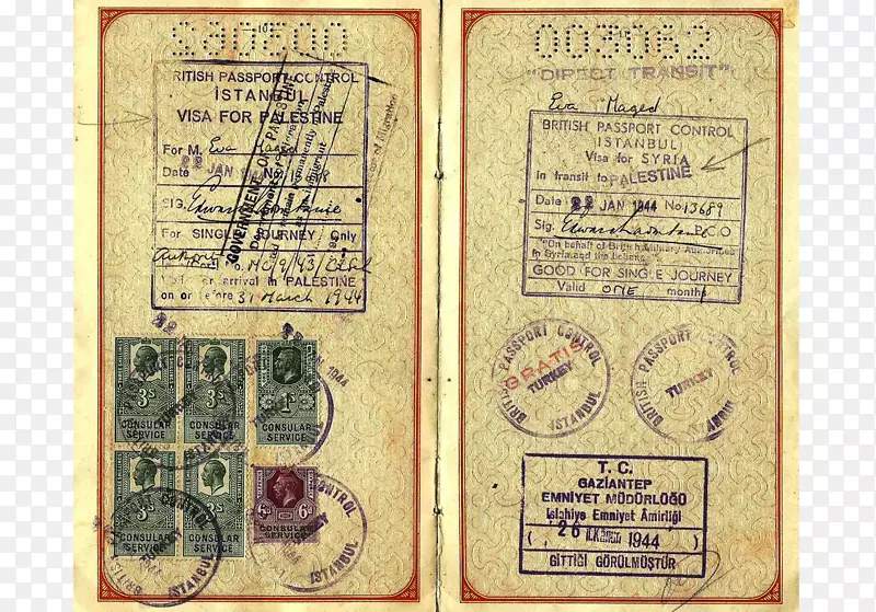 纸质签证护照