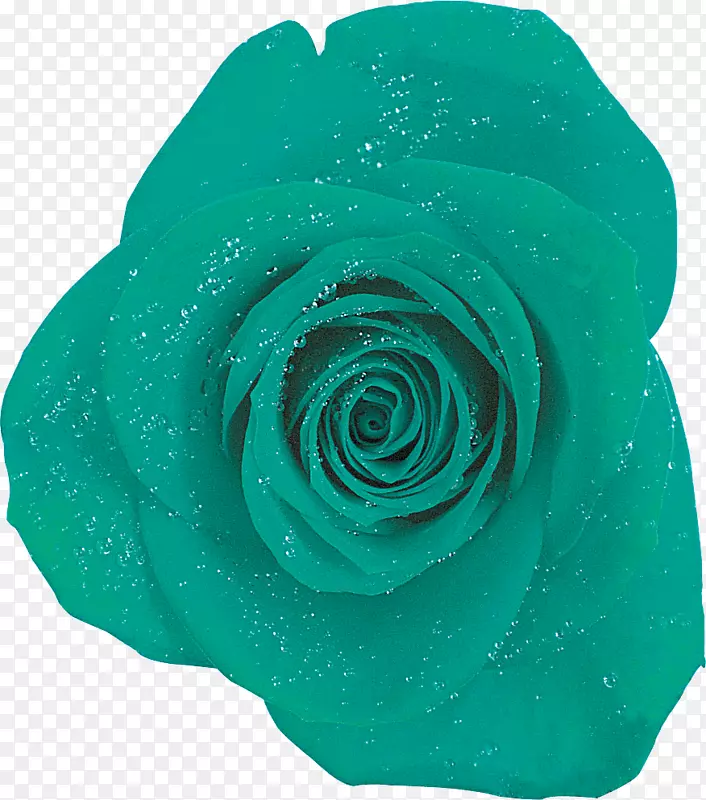 花园玫瑰蓝玫瑰绿松石玫瑰