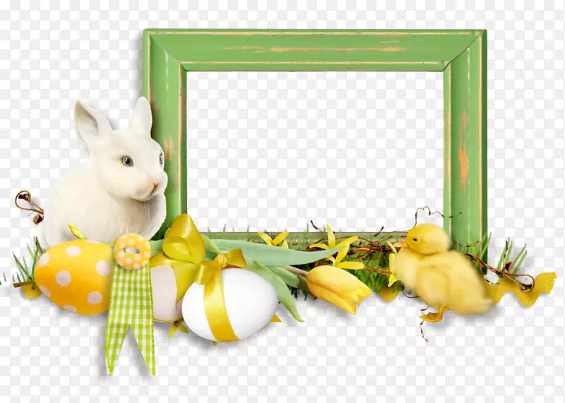 国内兔子复活节兔子画框-兔子