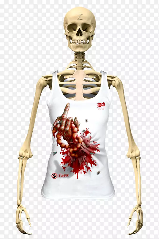 人体骨骼系统人体脊柱-骨骼