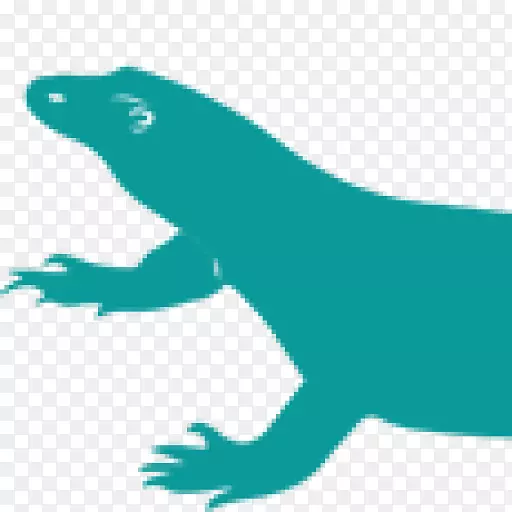 科莫多巨龙海狮蜥蜴画蜥蜴