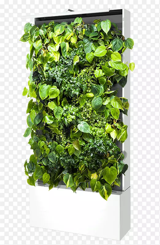 绿色墙可持续设计帕雷德花盆-绿色墙