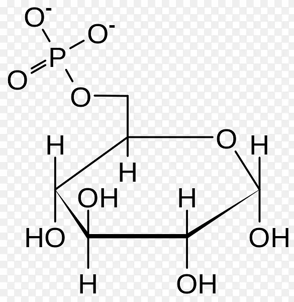 葡萄糖6-磷酸葡萄糖-6-磷酸脱氢酶葡萄糖6-磷酸酶果糖糖