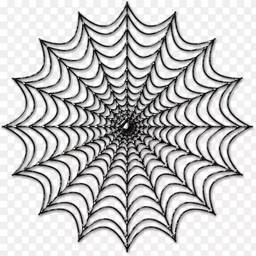 蜘蛛网黑白色蜘蛛
