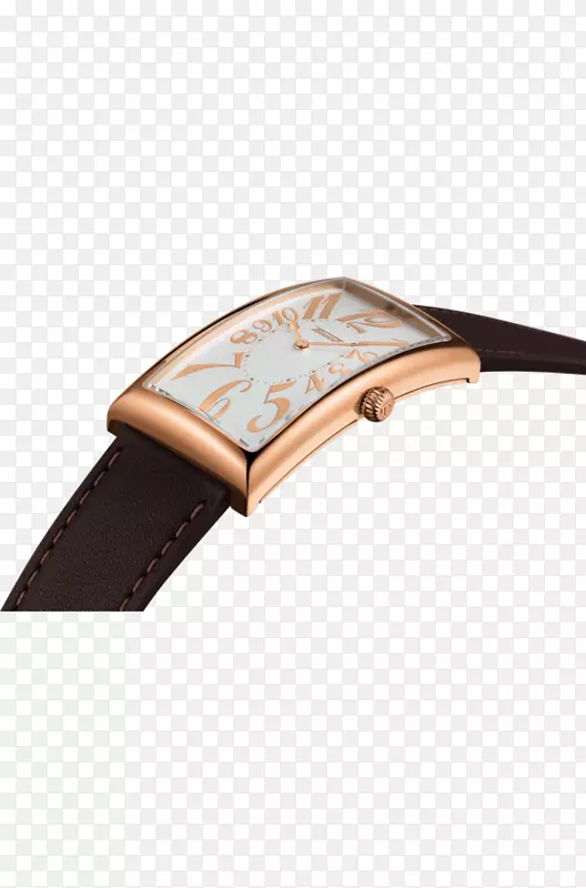 Tissot手表表带地拉那东门牌手表