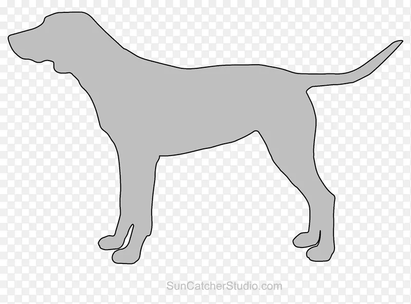 拉布拉多猎犬繁殖运动团体-小狗