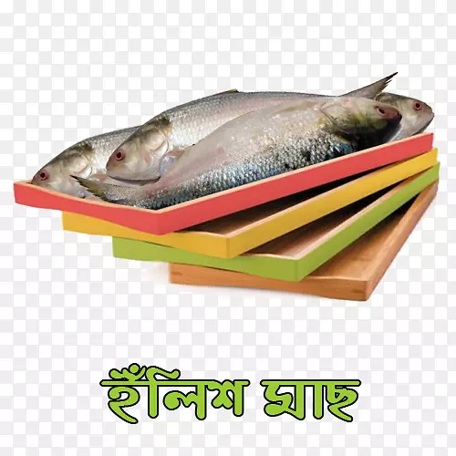 鱼类产品09777鲭鱼鲑鱼