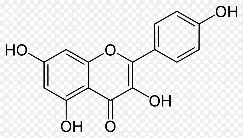 黄酮类槲皮素、紫杉醇、德尔菲定膳食补充剂-马尾
