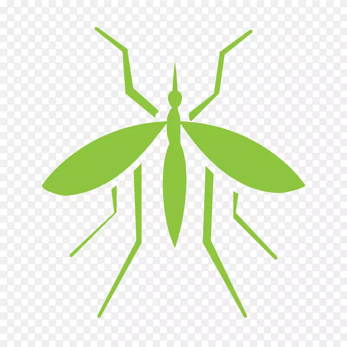 蚊虫防治蟑螂-蚊子