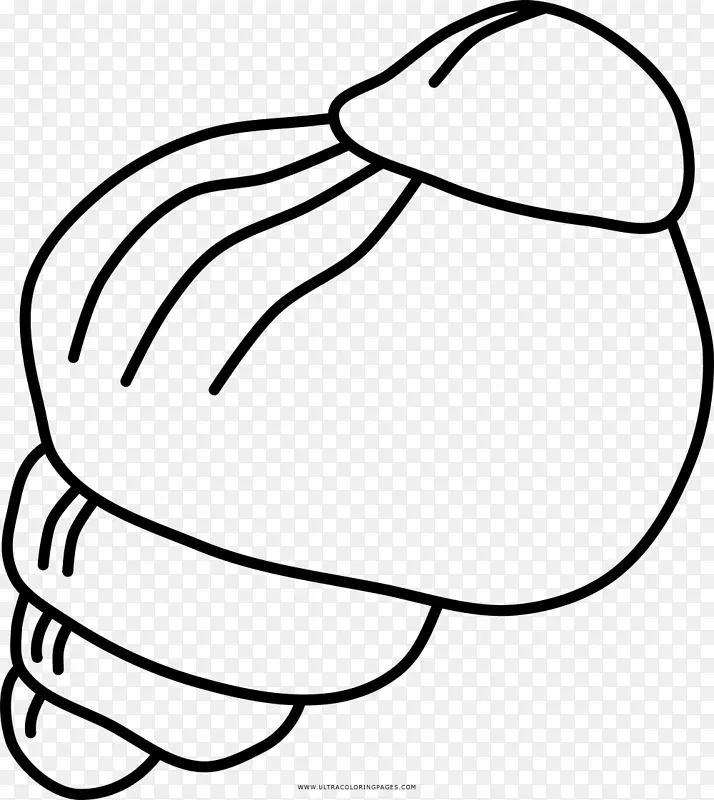 腹足画蜗牛彩色书-蜗牛