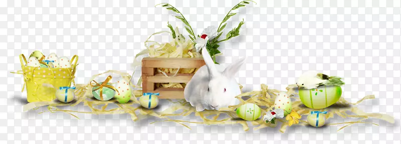 复活节兔子复活节明信片假期贺卡及便条卡-复活节