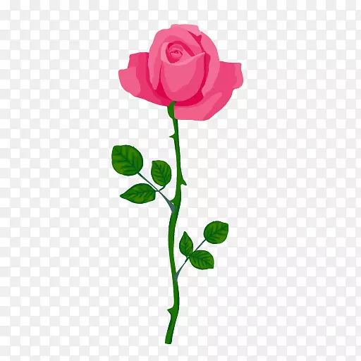 花园玫瑰切花设计花蕾玫瑰