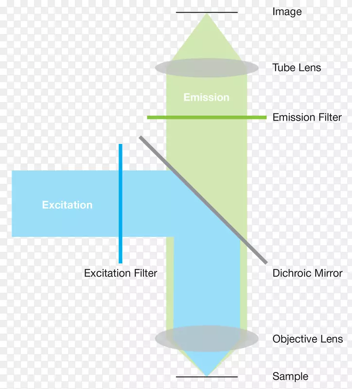 荧光显微镜光激发滤光器Jablonski图