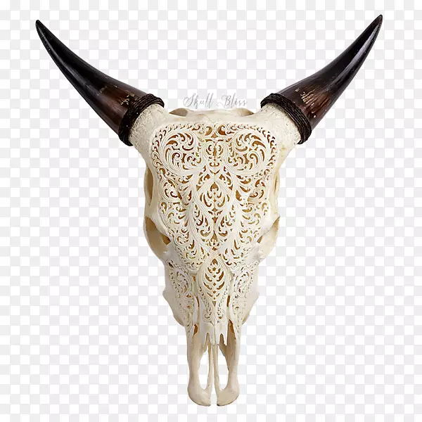 得克萨斯州长角牛的头骨：红、白、蓝头骨