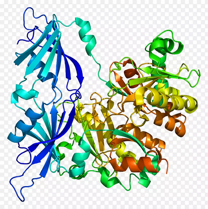 信使RNA切割蛋白质基因酶-酶