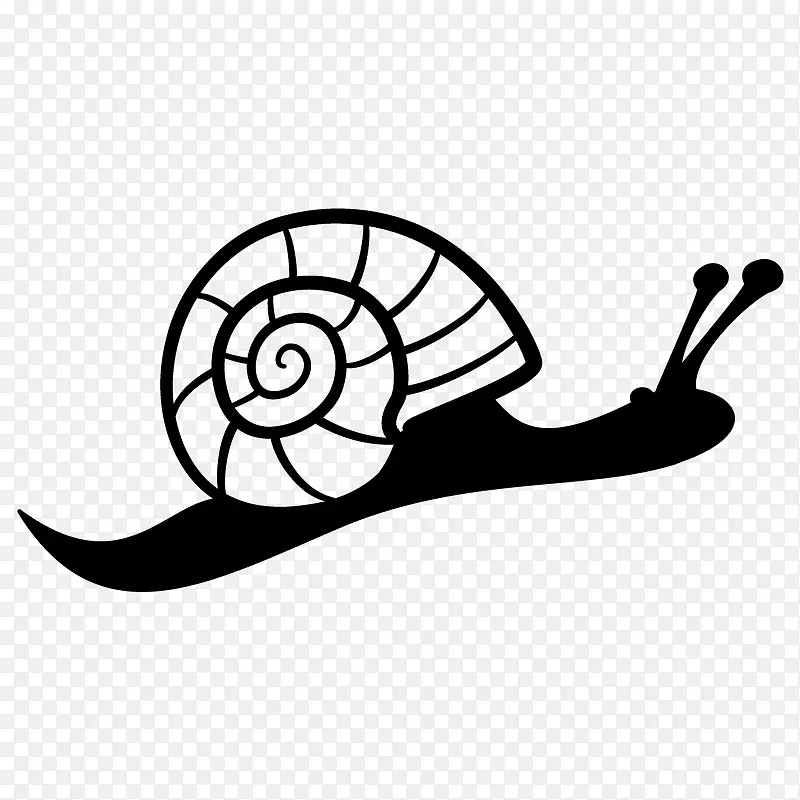 海螺软体动物-蜗牛