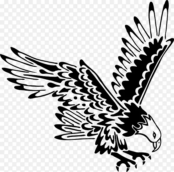 秃鹰纹身-黑白鹰-鹰羽毛法-鹰