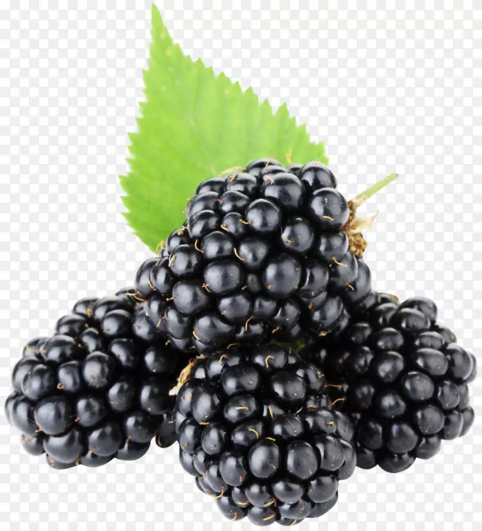 黑莓派水果-黑莓