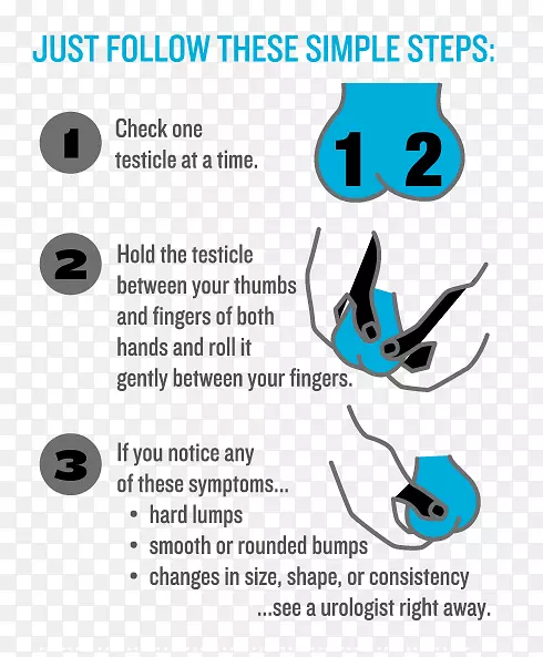 睾丸癌睾丸妊娠试验睾丸自我检查禁食月