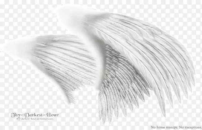 黑白天使翼单色绘图设计