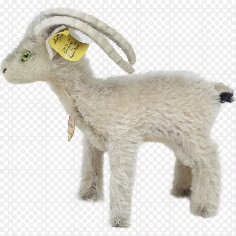 山羊毛陆生动物鼻子-绵羊