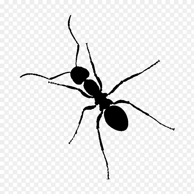黑花园蚂蚁昆虫剪贴画-昆虫