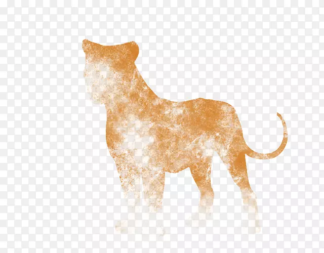 狮子猫狗犬科陆生动物-狮子