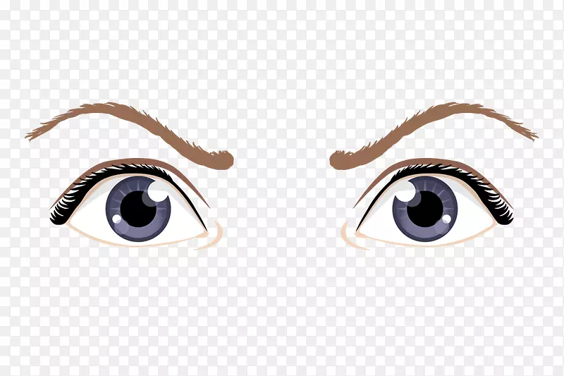 眉毛视觉知觉图.眼睛